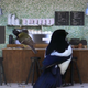 Illustration for article titled A Television Show About The Worlds First Cafe For Wild Birds